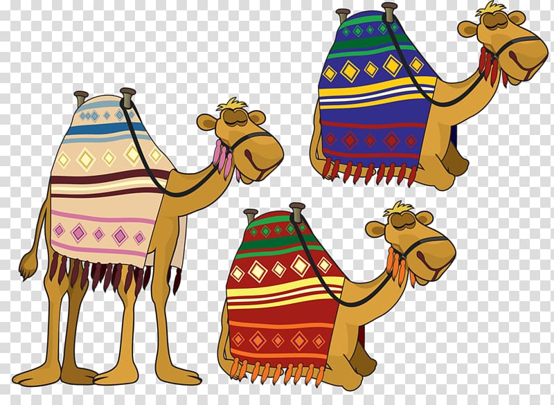 Bactrian camel Computer Icons , Wise Man transparent background PNG clipart