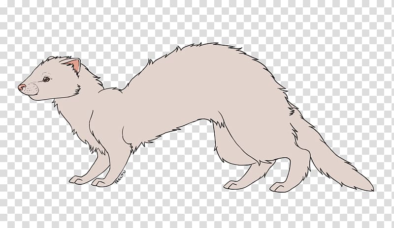 Ferret Weasels Whiskers Mink Cat, ferret transparent background PNG clipart