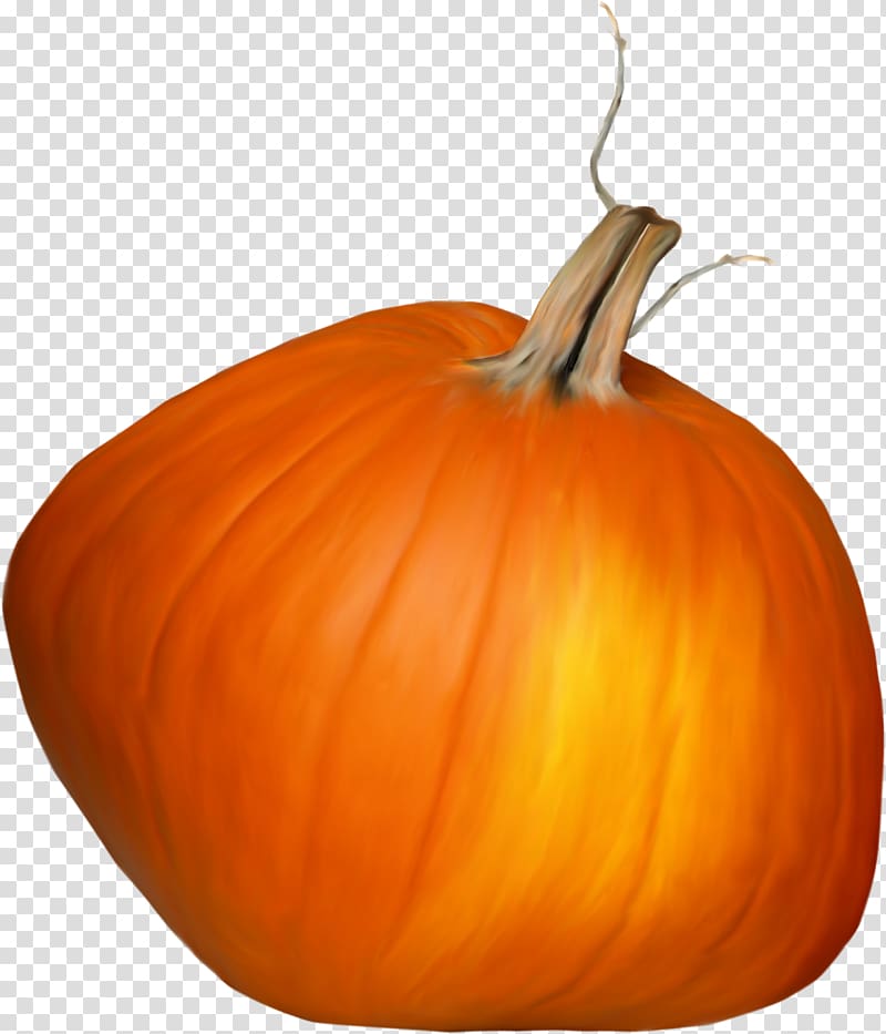 Calabaza Great Pumpkin Winter squash Gourd, Beautiful orange pumpkin transparent background PNG clipart