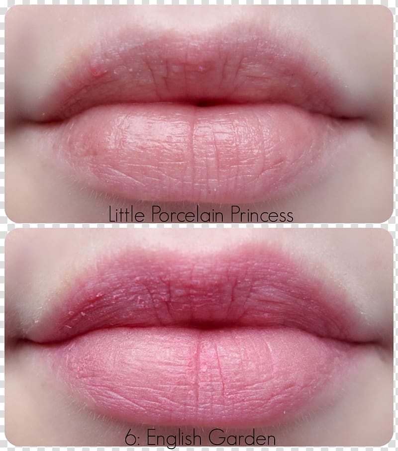 Lip gloss Lipstick Tony Moly Petite Bunny Gloss Bar Color, lipstick transparent background PNG clipart