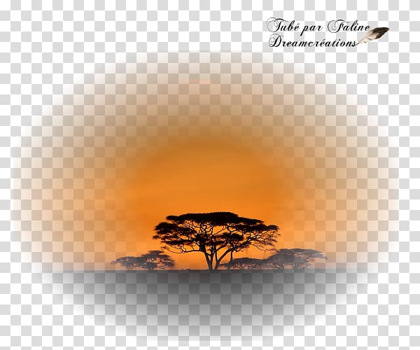 Création graphique Savana Faline Desktop PSP, Sunset Dreams transparent background PNG clipart