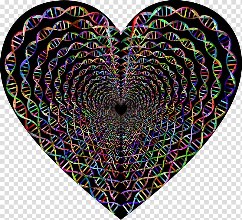 DNA Heart Nucleic acid sequence Biologist Nucleic acid double helix, Tunnel transparent background PNG clipart