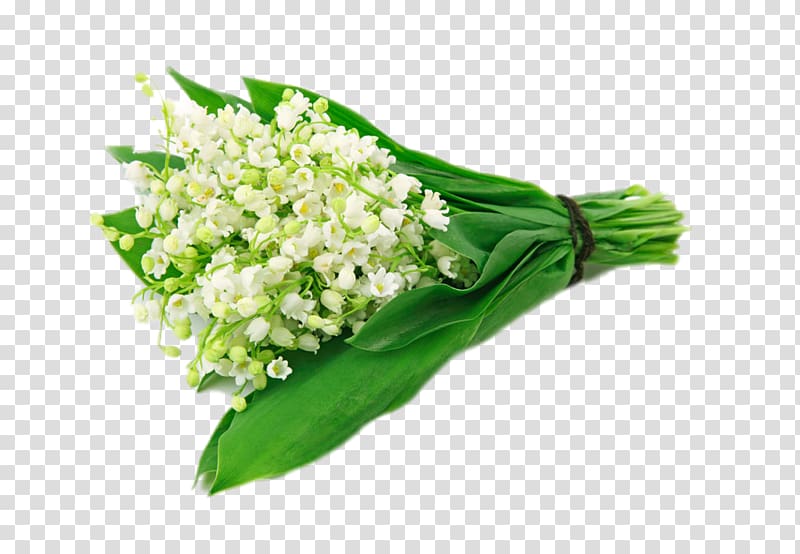 Flower bouquet Lily of the valley Perfume Lilium, Bouquet of lily of the valley transparent background PNG clipart