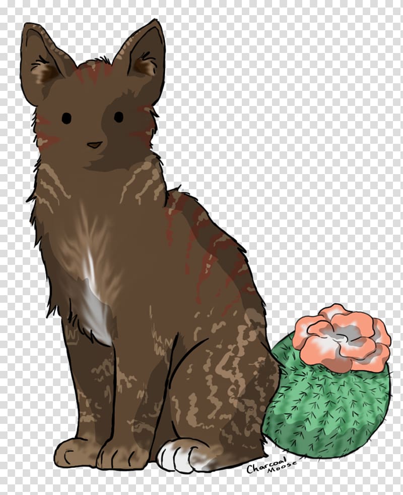 Whiskers Cactus Cat Red fox, Cat transparent background PNG clipart