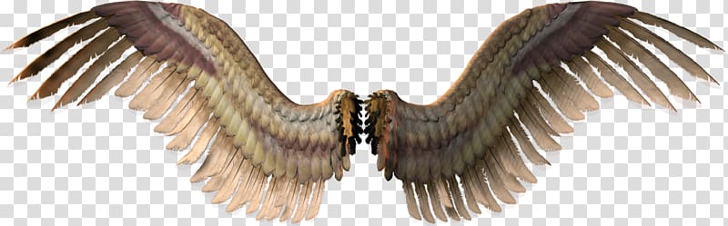 Wing , Devil Wings transparent background PNG clipart
