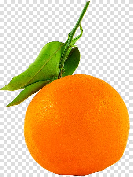 Bergamot orange Fruitarianism Juice, orange transparent background PNG clipart