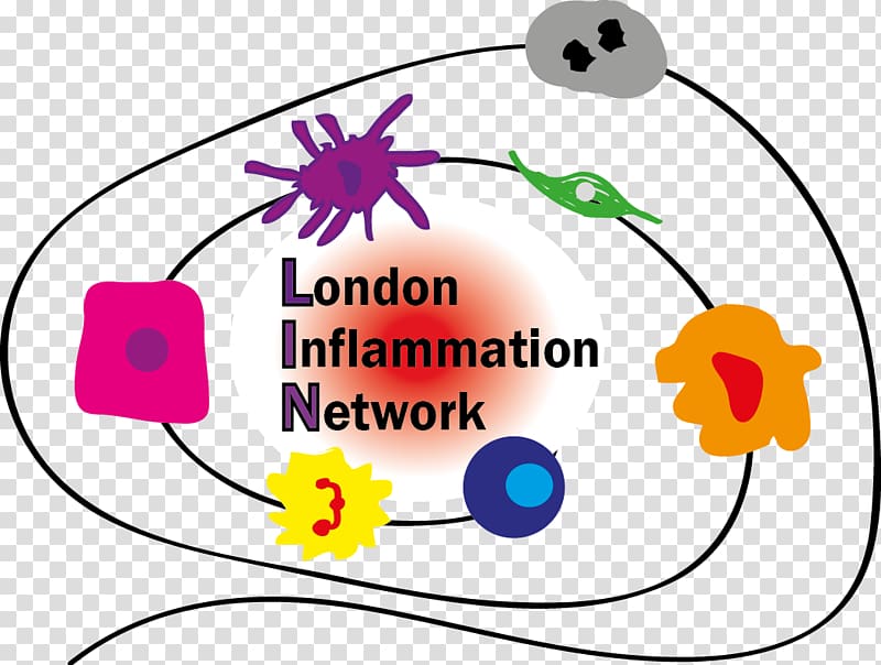 Barts and The London School of Medicine and Dentistry Barts Cancer Institute Queen Mary University of London Charterhouse Square The William Harvey Research Institute, others transparent background PNG clipart