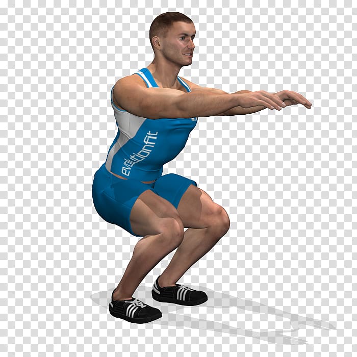 Squat Calf Physical fitness Thigh Shoulder, squat transparent background PNG clipart