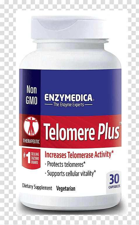 Dietary supplement Enzymedica, PhenolGest 60 count, Most Advanced Digestive Enzyme Telomere Telomerase Enzymedica Mucostop, 48 Capsules, sale material transparent background PNG clipart