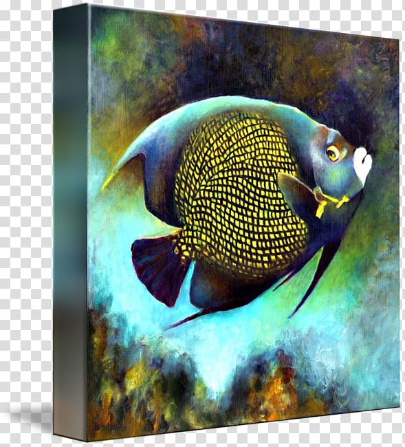 French angelfish Emperor angelfish Coral reef fish, angelfish transparent background PNG clipart