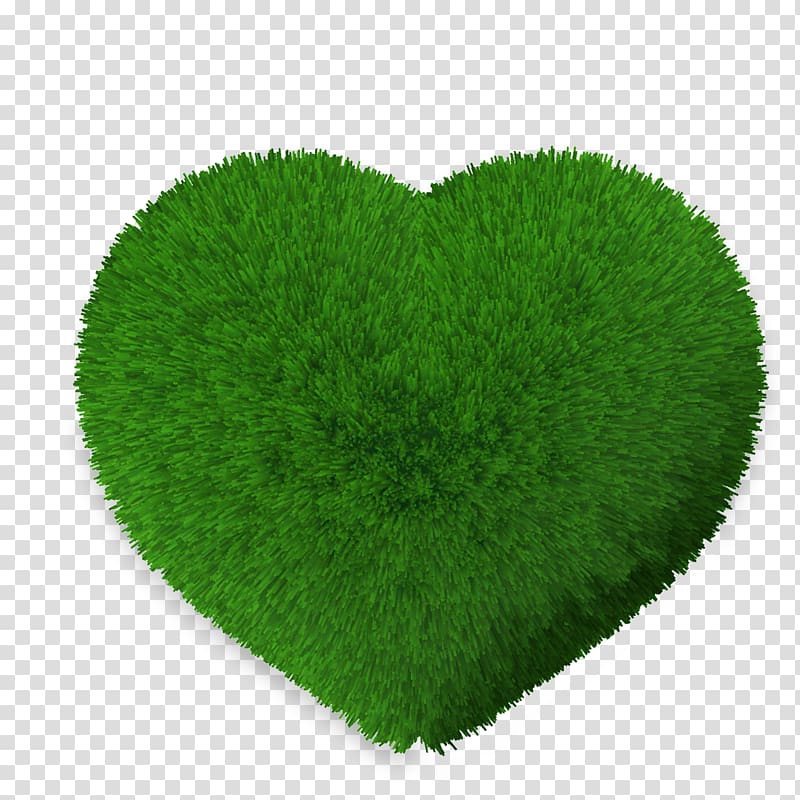 Lawn Green Leaf, Heart-shaped grass transparent background PNG clipart