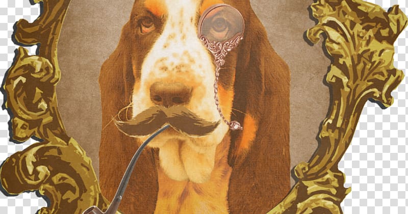 Irish Setter MyMajorCompany Le dernier bar avant la fin du monde Accommodation, fogg transparent background PNG clipart