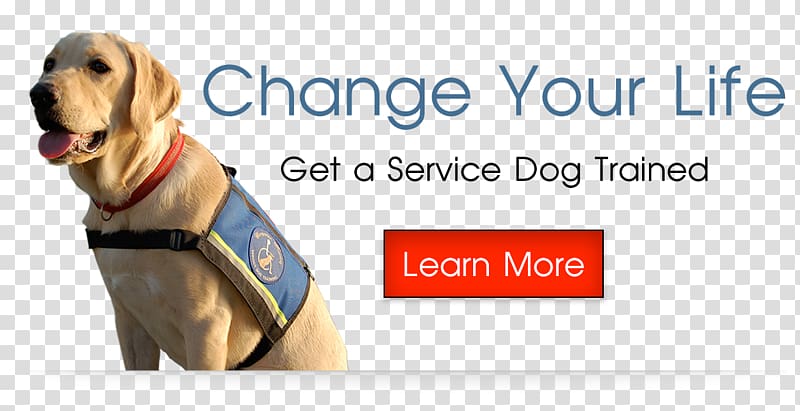 Dog breed Service dog Puppy Leash, Dog transparent background PNG clipart