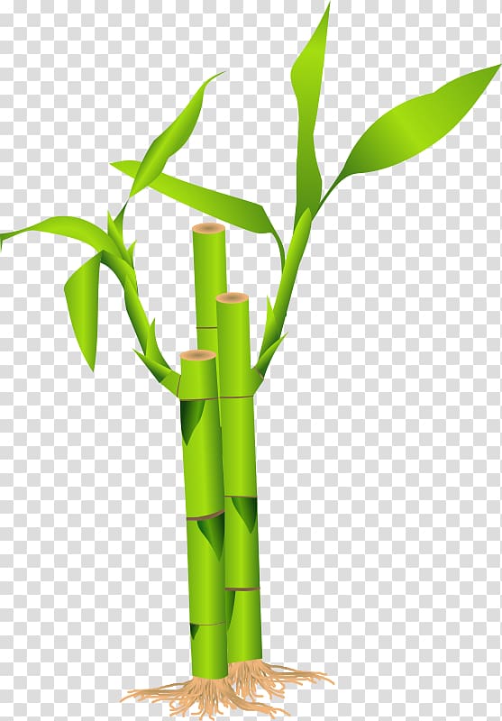 Bamboo Bamboe , Stick Tree transparent background PNG clipart