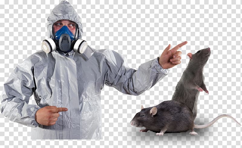 Rat Pest Control, rat transparent background PNG clipart