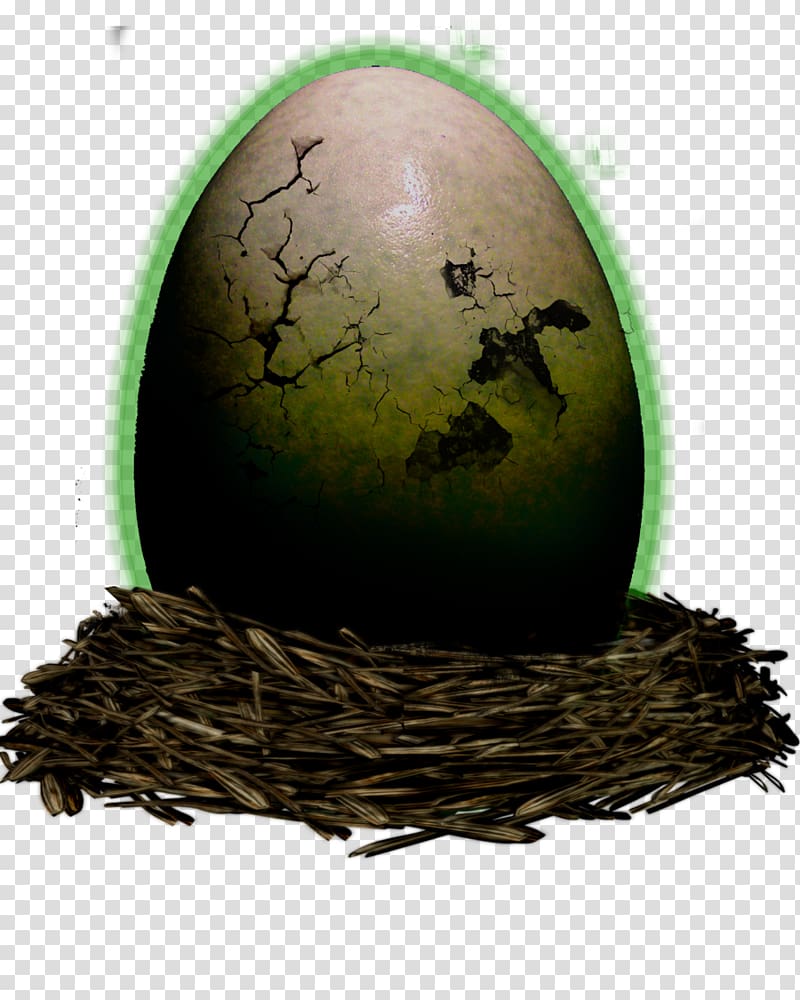 Egg, 2017 Fipronil Eggs Contamination transparent background PNG clipart