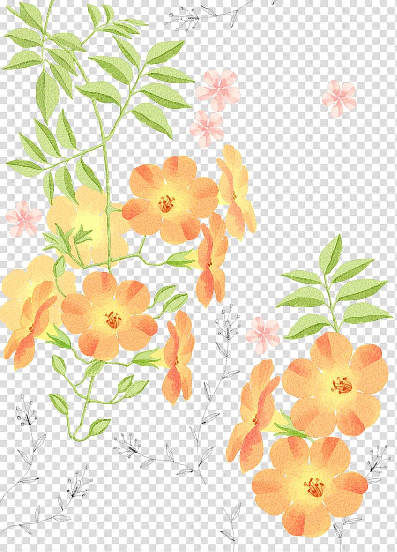 Watercolor painting Illustration, chrysanthemum transparent background PNG clipart