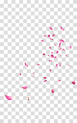 Flower Editing , floating transparent background PNG clipart thumbnail
