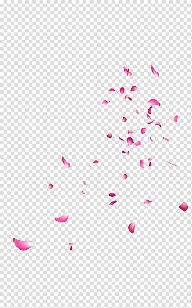 Flower Editing , floating transparent background PNG clipart