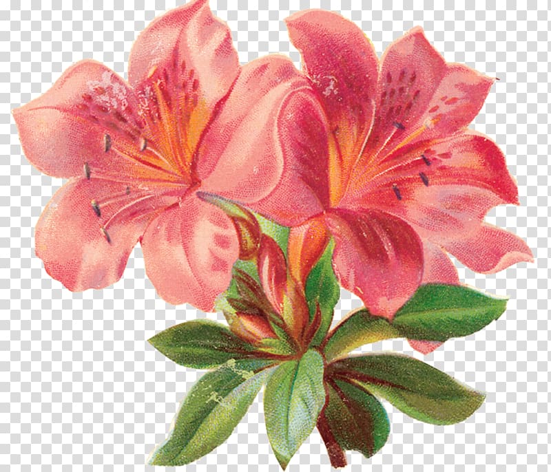 Paper Cross-stitch Flower , flower transparent background PNG clipart