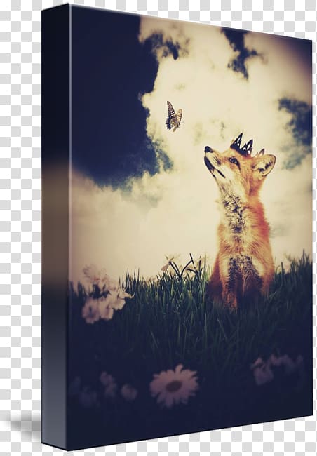 Red fox A masque of days from the last essays of Elia , Little Prince fox transparent background PNG clipart