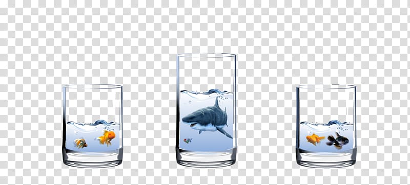 Highball glass Water Cup, Glass containing fish transparent background PNG clipart