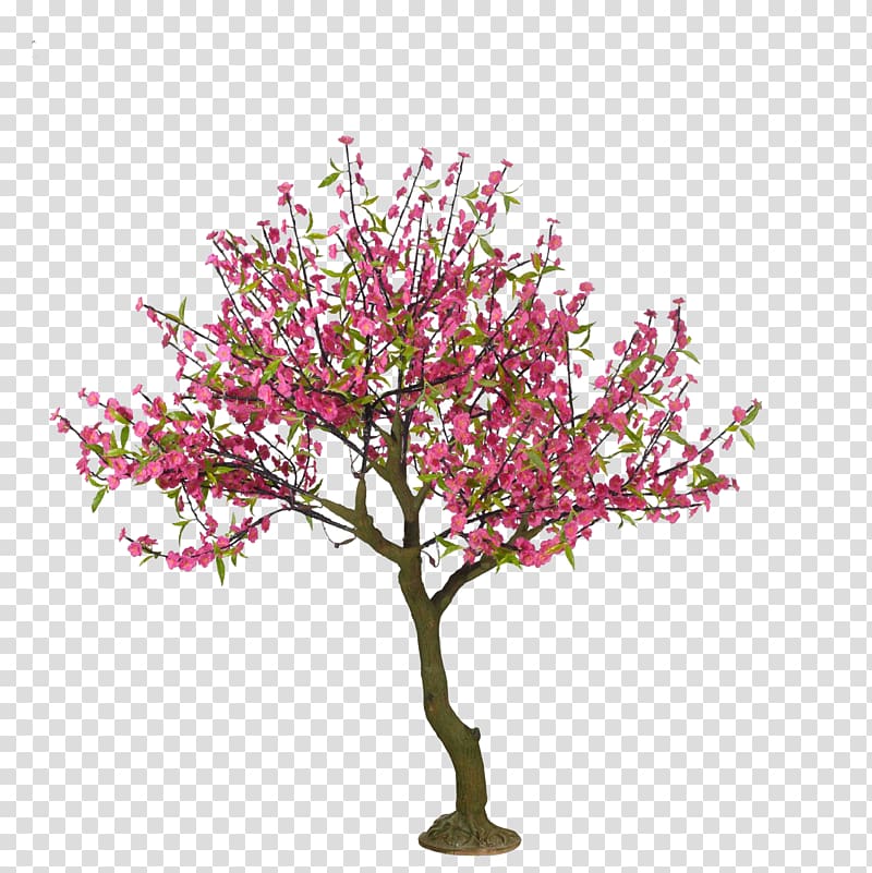 Pink Leafed Tree Cherry Blossom Tree Drawing Peach Cartoon Hand