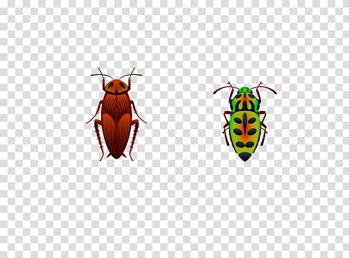 Insect Euclidean Computer file, insect transparent background PNG clipart