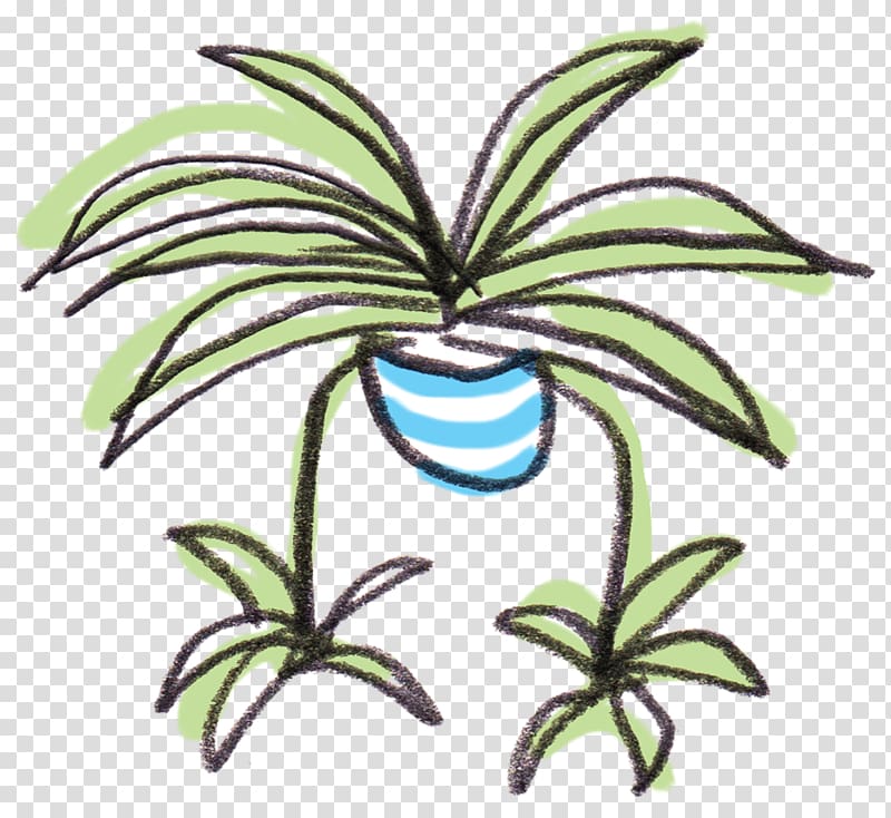 Chlorophytum comosum Houseplant Flower , plant transparent background PNG clipart