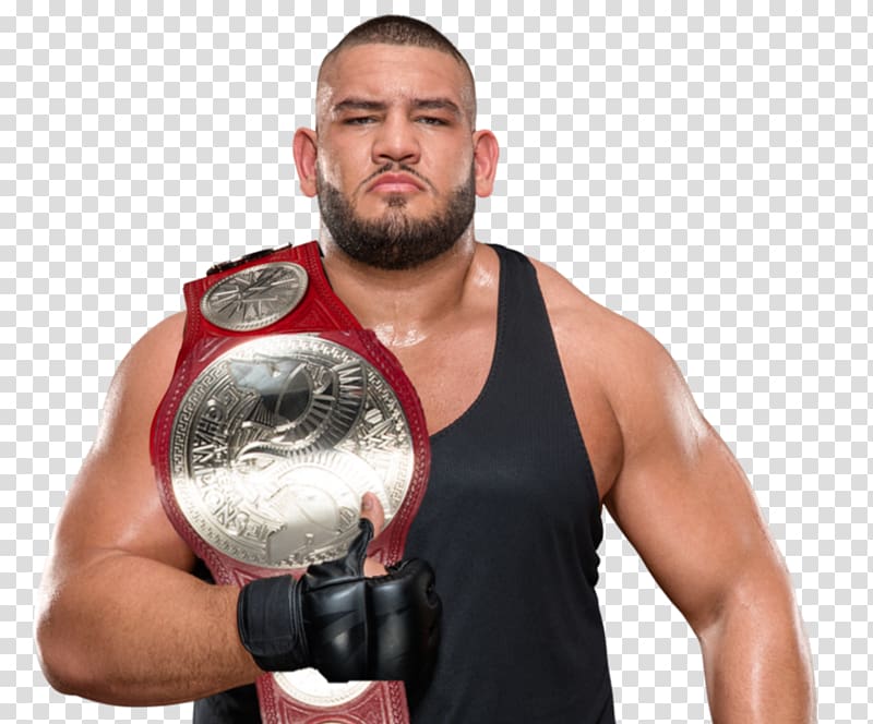 Gzim Selmani The Authors of Pain WWE Raw Tag Team Championship WWE Championship, wwe nxt championship 2018 transparent background PNG clipart