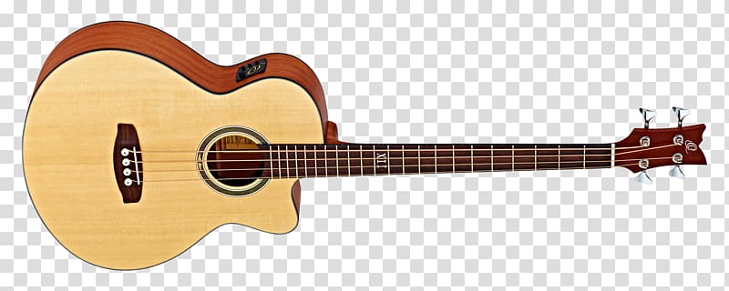 Twelve-string guitar Acoustic-electric guitar Fender Musical Instruments Corporation Cutaway, amancio ortega transparent background PNG clipart