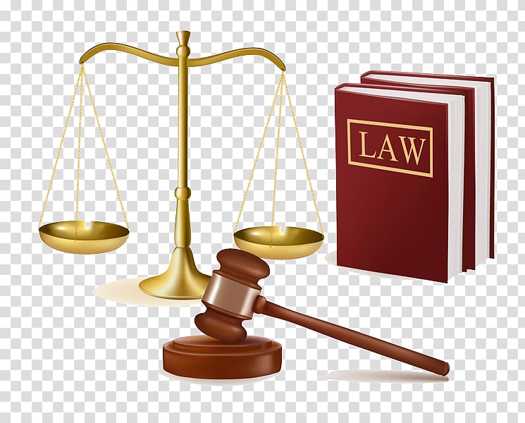 Law firm Lawyer Practice of law Legal practice, lawyer transparent background PNG clipart