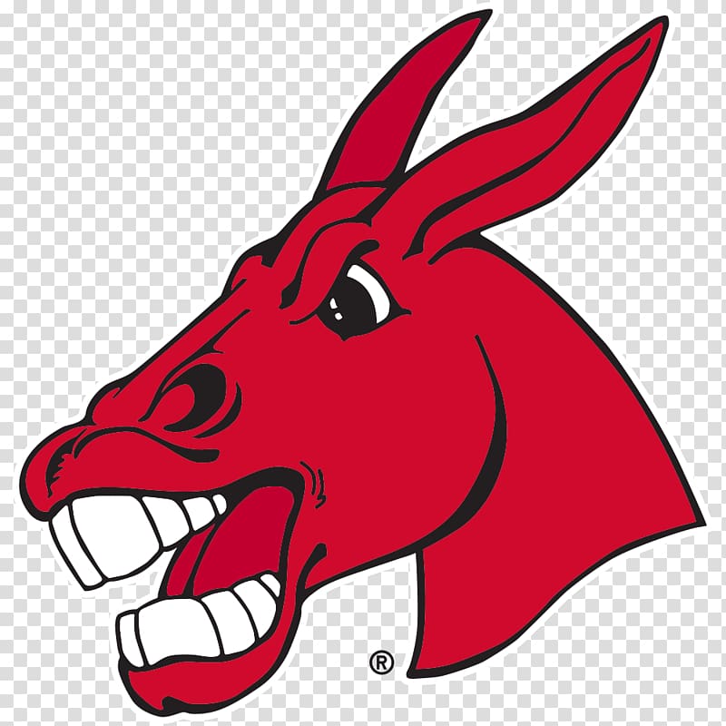 University of Central Missouri Central Missouri Mules football Central Missouri Mules basketball Central Missouri Jennies basketball Northeastern State RiverHawks football, shirt mo transparent background PNG clipart