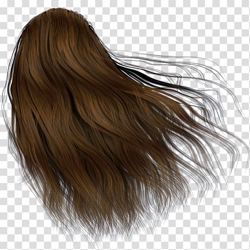 Hair coloring Brown hair Human hair color Cosmetics, hair transparent background PNG clipart