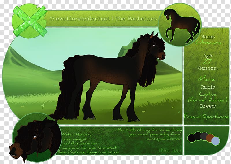 Mustang Pony Stallion Pack animal, captivity transparent background PNG clipart