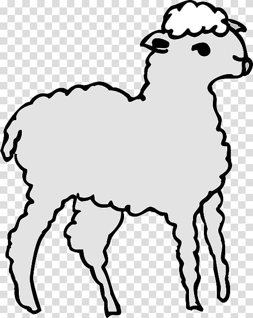 Sheep Windows Metafile , sheep transparent background PNG clipart