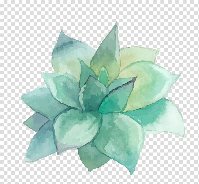 green petaled flower illustration, Succulent plant Watercolor painting Art Wall decal, WATERCOLOR LEAF transparent background PNG clipart