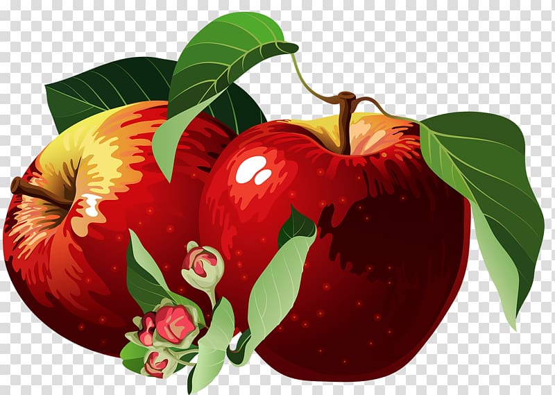 Apple Red, Hand-painted red apple transparent background PNG clipart