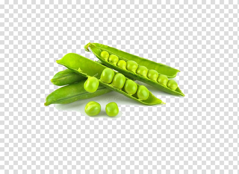 Snow pea Vegetable Food Canning Fruit, pea transparent background PNG clipart