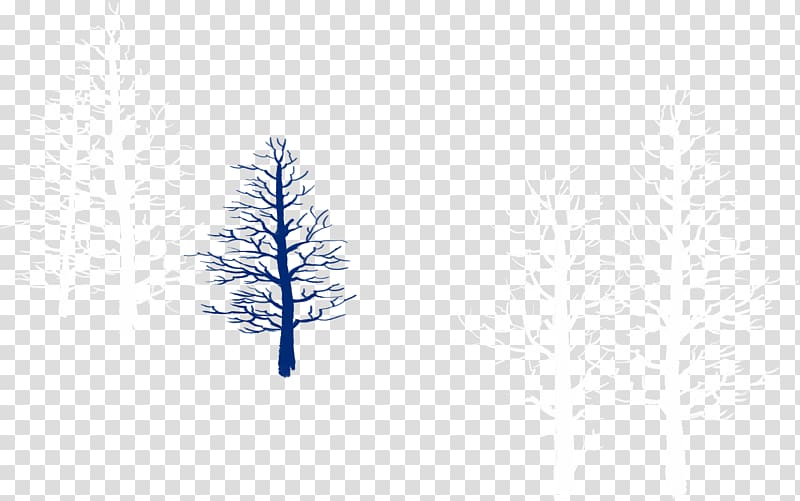 Tree Sky Pattern, Snowy winter branches transparent background PNG clipart