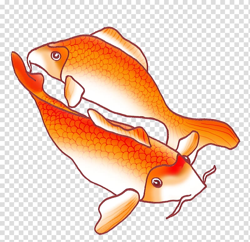 Koi Fish Drawing, koi transparent background PNG clipart