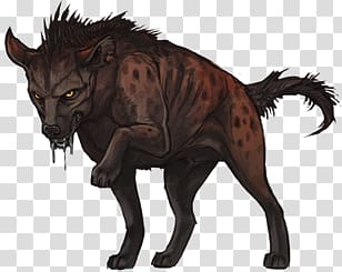 Hyena transparent background PNG clipart