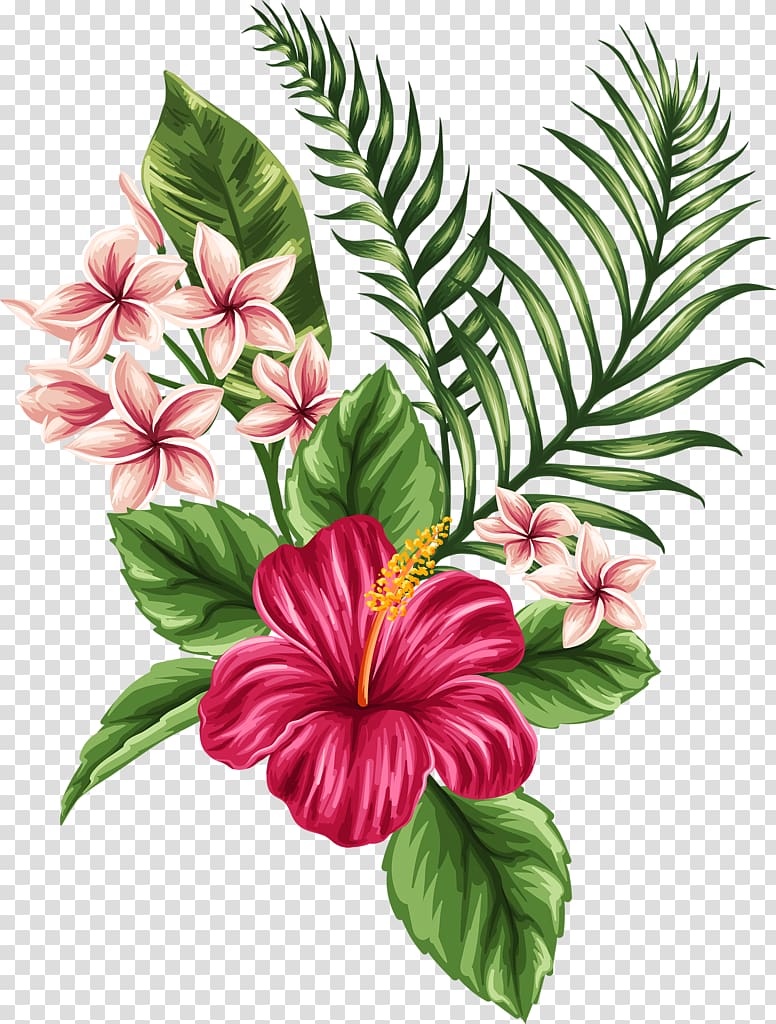Flower Tropics Drawing , tropical, pink petaled flowers and leaves illustration transparent background PNG clipart