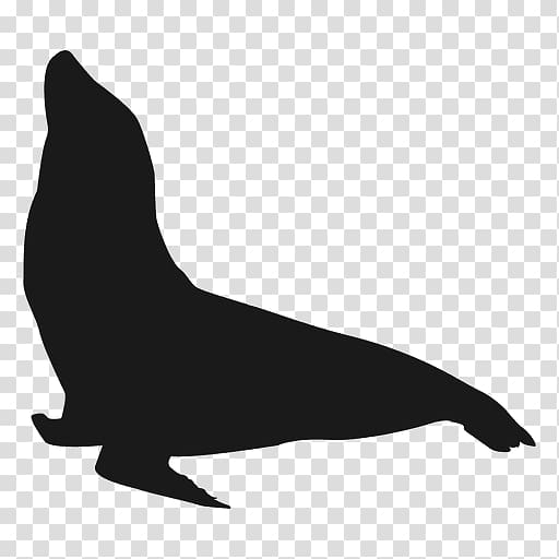 California sea lion Silhouette, nature sea animals seal transparent background PNG clipart