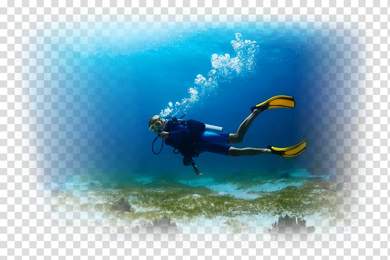 Underwater diving Scuba diving Open Water Diver Diver certification Snorkeling, scuba diving transparent background PNG clipart