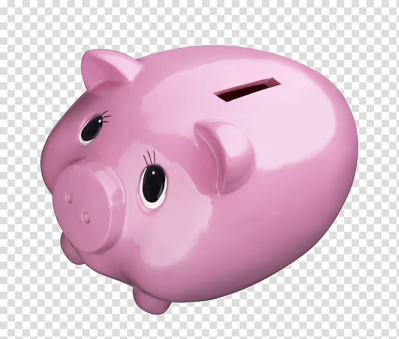 Piggy bank Domestic pig Pink, Pink piggy bank transparent background PNG clipart