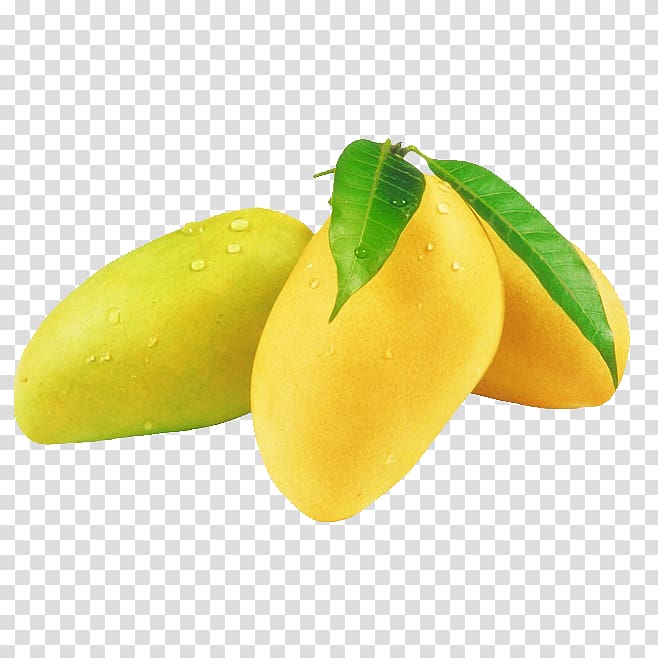 yellow mango clipart