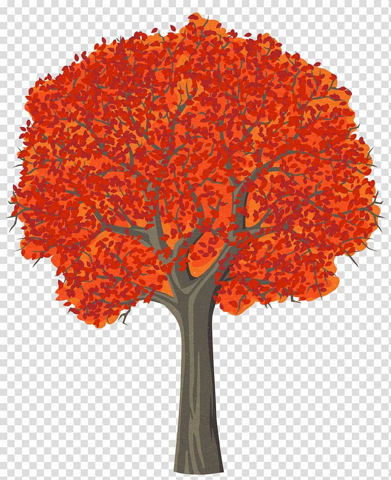 Tree Cartoon Drawing , Cartoon tree, transparent background PNG clipart