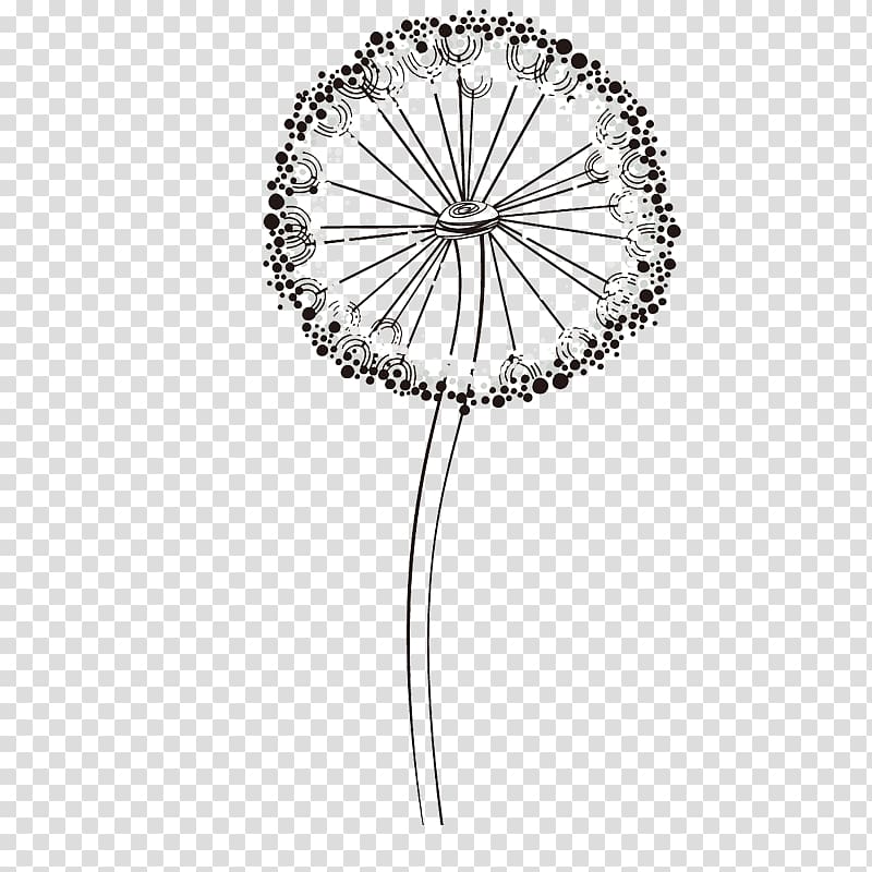 Taraxacum platycarpum Common Dandelion Illustration, Dandelion transparent background PNG clipart