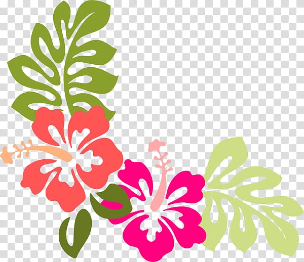 orange and pink hibiscus flowers border art, Hawaiian Hibiscus Flower , hibiscus transparent background PNG clipart